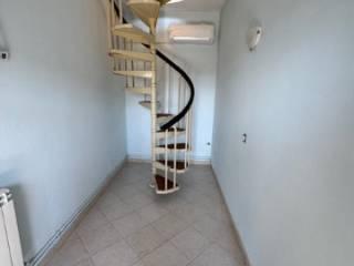 Villa unifamiliare via Roma 110, Scardovari, Porto Tolle — foto 13 di 20