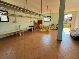 Villa unifamiliare via Roma 110, Scardovari, Porto Tolle — foto 11 di 13