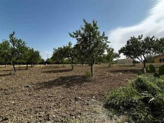 Villa unifamiliare, ottimo stato, 245 m², Caltanissetta — foto 18 di 34