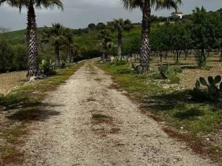 Villa unifamiliare, ottimo stato, 245 m², Caltanissetta — foto 11 di 34