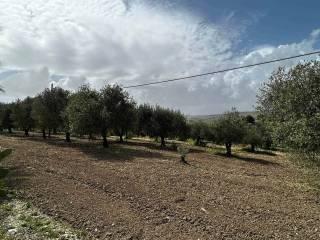 Villa unifamiliare, ottimo stato, 245 m², Caltanissetta — foto 21 di 34