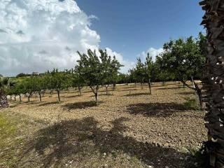 Villa unifamiliare, ottimo stato, 245 m², Caltanissetta — foto 4 di 34