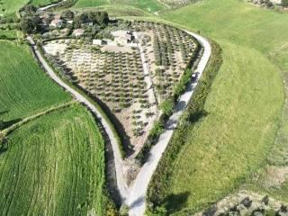 Villa unifamiliare, ottimo stato, 245 m², Caltanissetta — foto 14 di 34