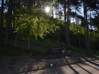 Trilocale buono stato, piano terra, Vervò, Predaia — foto 13 di 29