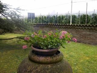 Villa unifamiliare via Pampano Brusantina 154, Riva del Po — foto 30 di 95