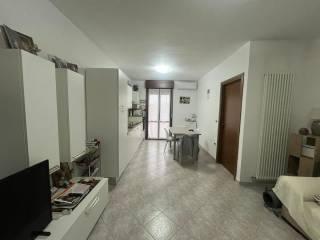 Villa a schiera via Settima Strada, Centro, Taglio di Po — foto 19 di 34