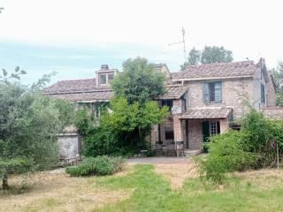 Casale Località Passatore, Calvi dell'Umbria — foto 16 di 16