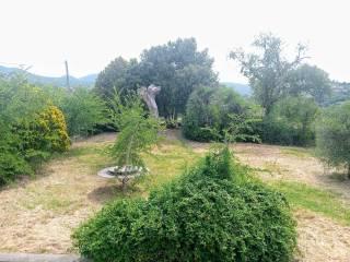 Casale Località Passatore, Calvi dell'Umbria — foto 3 di 16