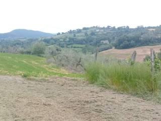 Casale Località Passatore, Calvi dell'Umbria — foto 4 di 16