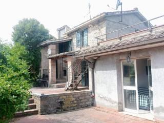 Casale Località Passatore, Calvi dell'Umbria — foto 5 di 16