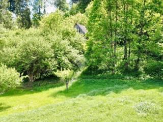 Rustico Località Chiampeas 1, Prato Carnico — foto 2 di 10