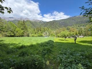 Rustico Località Chiampeas 1, Prato Carnico — foto 6 di 10