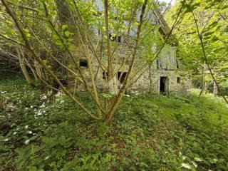 Rustico Località Chiampeas 1, Prato Carnico — foto 4 di 10