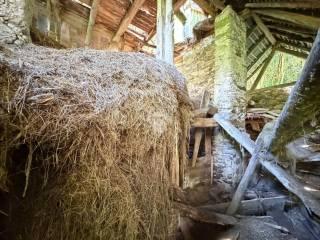 Rustico Località Chiampeas 1, Prato Carnico — foto 8 di 10