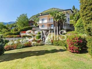 Villa unifamiliare via Provinciale, Centro, Bee — foto 33 di 49