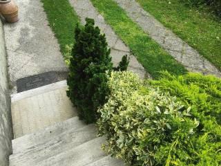 Villa bifamiliare via dei Condotti Asciano, Asciano, Agnano, San Giuliano Terme — foto 3 di 46