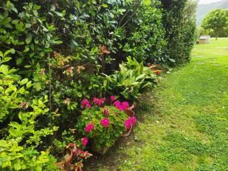 Villa bifamiliare via dei Condotti Asciano, Asciano, Agnano, San Giuliano Terme — foto 24 di 46