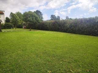 Villa bifamiliare via dei Condotti Asciano, Asciano, Agnano, San Giuliano Terme — foto 41 di 46