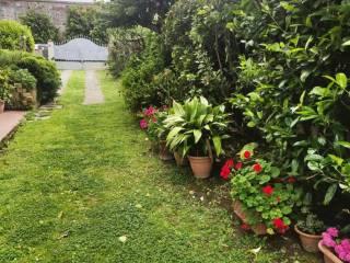 Villa bifamiliare via dei Condotti Asciano, Asciano, Agnano, San Giuliano Terme — foto 6 di 46