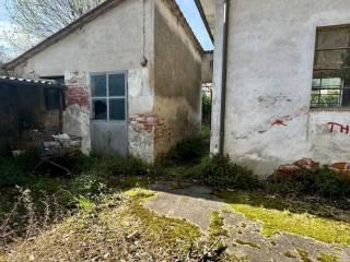 Rustico via di Sottomonte 350, Massa Macinaia - San Leonardo, Capannori — foto 2 di 10