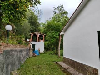 Villa unifamiliare via della Certosa 32, Centro, Calci — foto 3 di 49