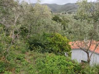 Villa unifamiliare via della Certosa 32, Centro, Calci — foto 35 di 49