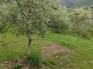 Villa unifamiliare via della Certosa 32, Centro, Calci — foto 21 di 49