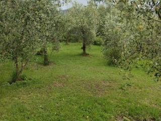 Villa unifamiliare via della Certosa 32, Centro, Calci — foto 5 di 49