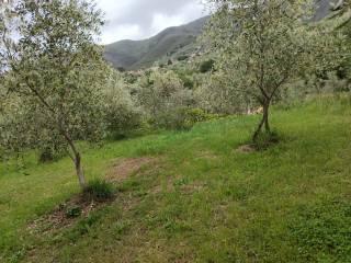Villa unifamiliare via della Certosa 32, Centro, Calci — foto 4 di 49