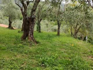 Villa unifamiliare via della Certosa 32, Centro, Calci — foto 30 di 49