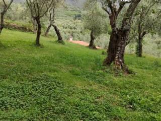 Villa unifamiliare via della Certosa 32, Centro, Calci — foto 32 di 49