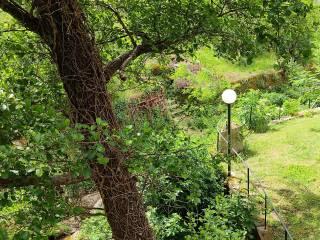 Villa unifamiliare via della Certosa 32, Centro, Calci — foto 7 di 49