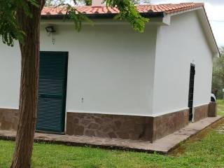 Villa unifamiliare via della Certosa 32, Centro, Calci — foto 40 di 49