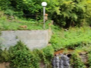 Villa unifamiliare via della Certosa 32, Centro, Calci — foto 13 di 49