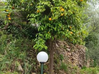 Villa unifamiliare via della Certosa 32, Centro, Calci — foto 42 di 49