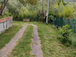 Villa unifamiliare via della Certosa 32, Centro, Calci — foto 47 di 49