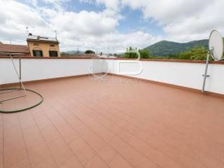 Villa bifamiliare via di Falcata, Avane, Vecchiano — foto 65 di 65