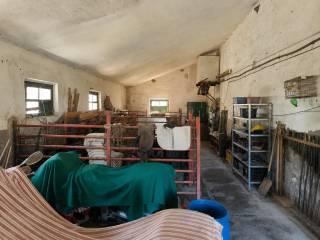 Terratetto unifamiliare Palaia, Centro, Palaia — foto 15 di 17