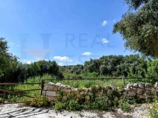 Casale Sp116, Conservatore - San Giacomo, Ragusa — foto 16 di 45