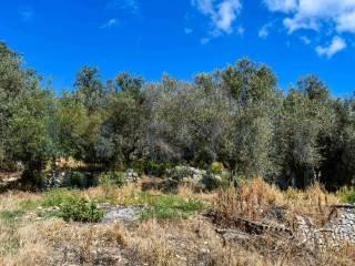 Casale Sp116, Conservatore - San Giacomo, Ragusa — foto 3 di 45