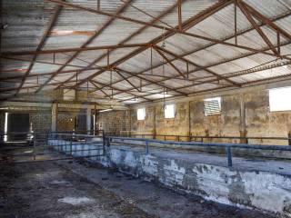 Casale Sp116, Conservatore - San Giacomo, Ragusa — foto 28 di 45