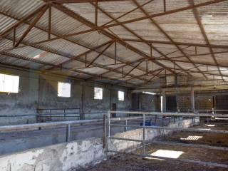 Casale Sp116, Conservatore - San Giacomo, Ragusa — foto 40 di 45