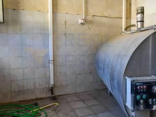 Casale Sp116, Conservatore - San Giacomo, Ragusa — foto 31 di 45