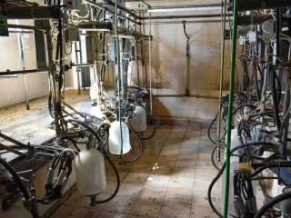 Casale Sp116, Conservatore - San Giacomo, Ragusa — foto 14 di 45