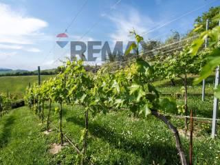 Villa unifamiliare Fraz. Costa 125, Arcevia — foto 48 di 90