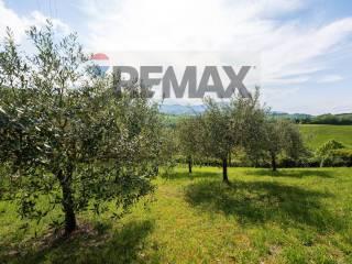Villa unifamiliare Fraz. Costa 125, Arcevia — foto 40 di 90