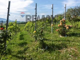 Villa unifamiliare Fraz. Costa 125, Arcevia — foto 53 di 90