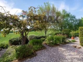 Villa unifamiliare Fraz. Costa 125, Arcevia — foto 8 di 90