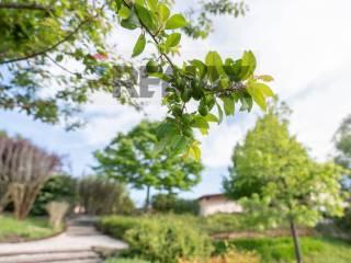 Villa unifamiliare Fraz. Costa 125, Arcevia — foto 36 di 90