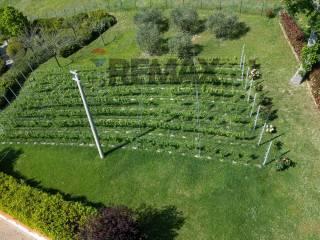 Villa unifamiliare Fraz. Costa 125, Arcevia — foto 43 di 90